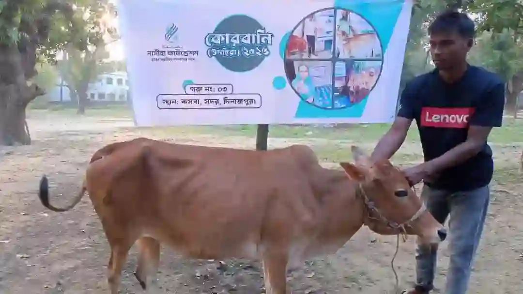কোরবানি বিতরণ